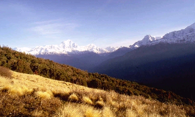 Poon Hill Gohrepani - Himalayan Horizon