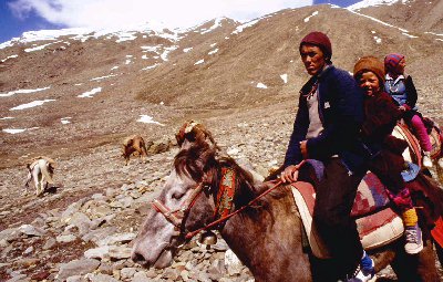 Zanskari Travellers